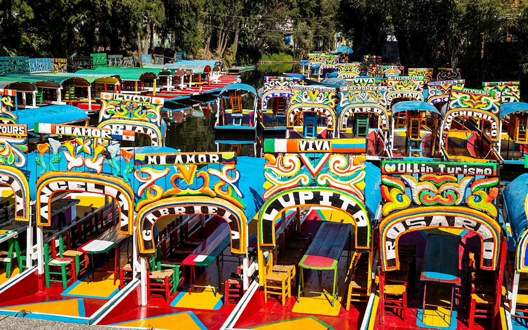 From Mexico City: Frida Kahlo Museum and Xochimilco Premium Tour Image 3