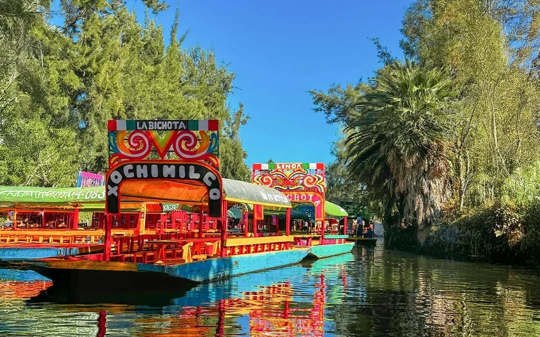 From Mexico City: Frida Kahlo Museum and Xochimilco Premium Tour Image 7