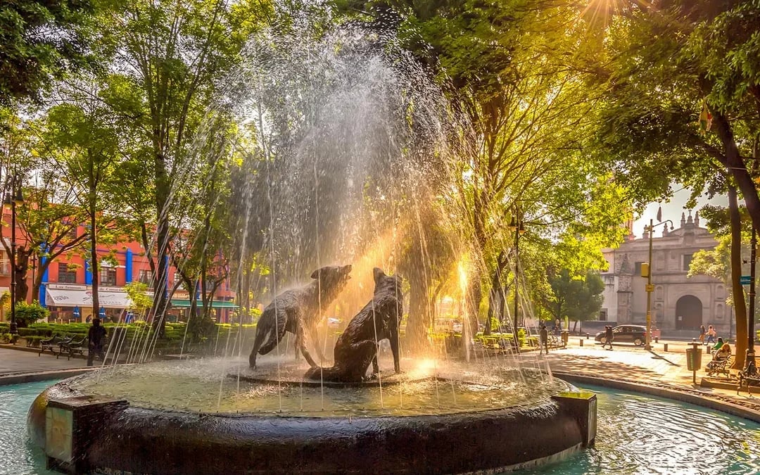 From Mexico City: Frida Kahlo Red House, Coyoacán & Xochimilco Tour with Hotel Pick-Up Image 11