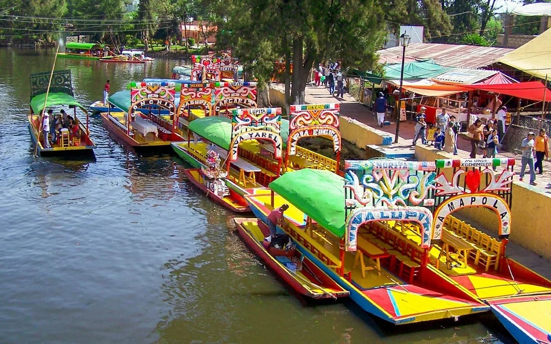From Mexico City: Frida Kahlo Red House, Coyoacán & Xochimilco Tour with Hotel Pick-Up Image 5