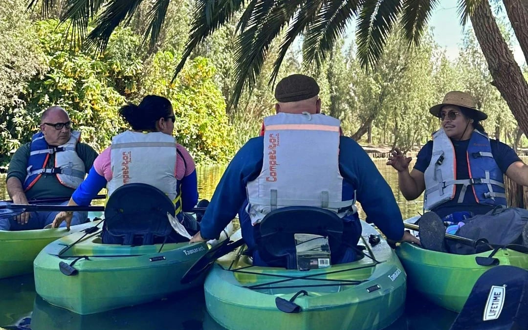 From Mexico City: Xochimilco Canals Small-Group Guided Kayak Tour with Local Guide Image 4