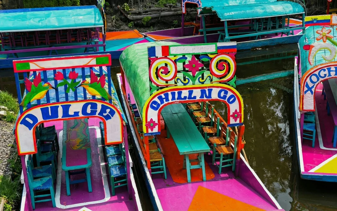 From Mexico: Xochimilco Canals Small Group Boat Tour
 Image 5