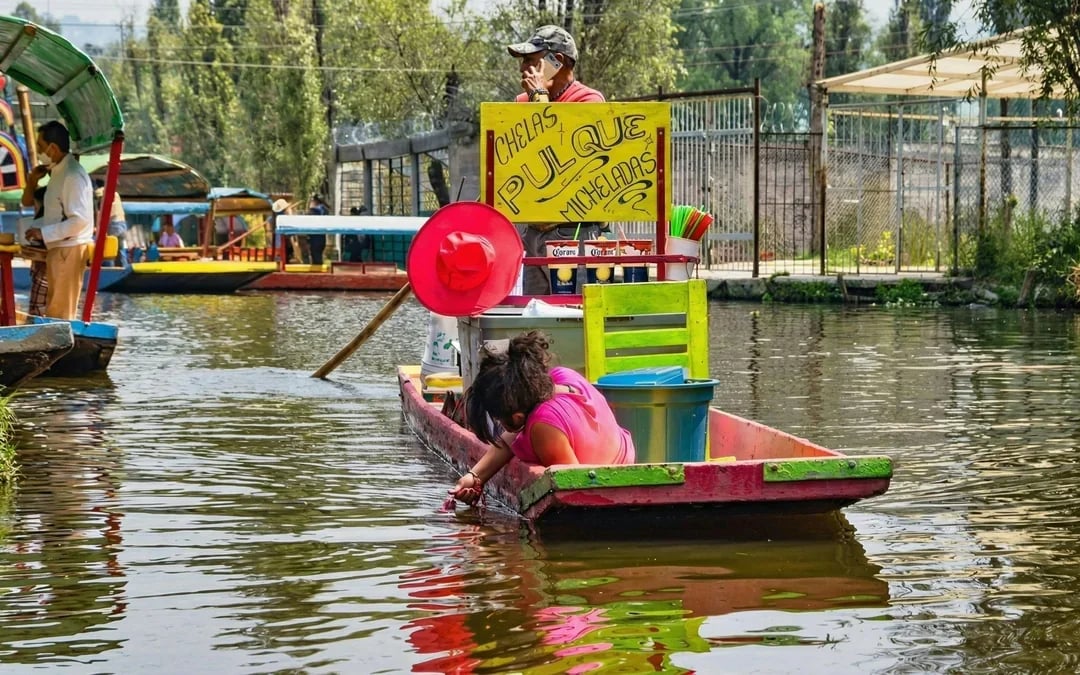 From Mexico: Xochimilco Canals Small Group Boat Tour
 Image 6