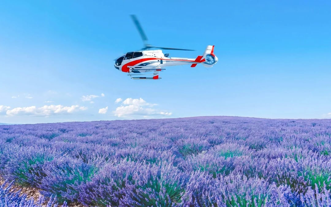 From Monaco: Private Helicopter Scenic Flight Image 7