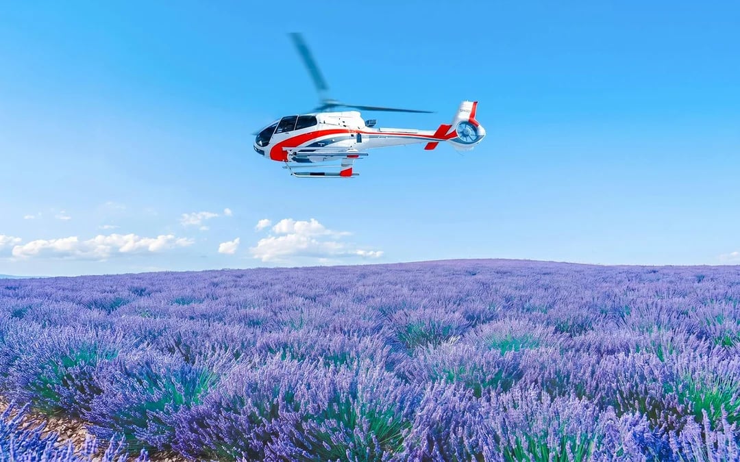 From Monaco: Shared Helicopter Panoramic Tour Image 5