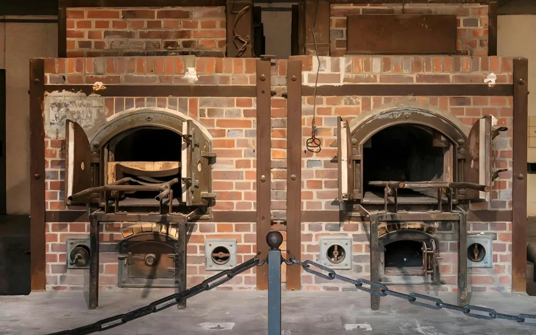  From Munich: Dachau Concentration Camp Memorial Site Tour
 Image 4
