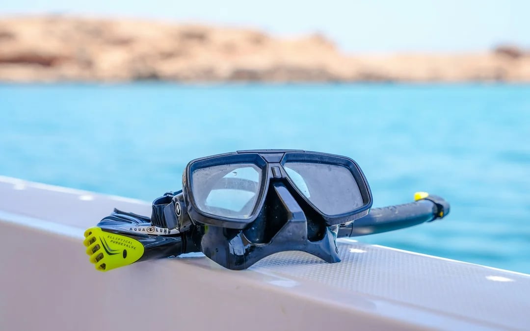 From Muscat: Daymaniyat Islands Snorkeling Tour Image 4
