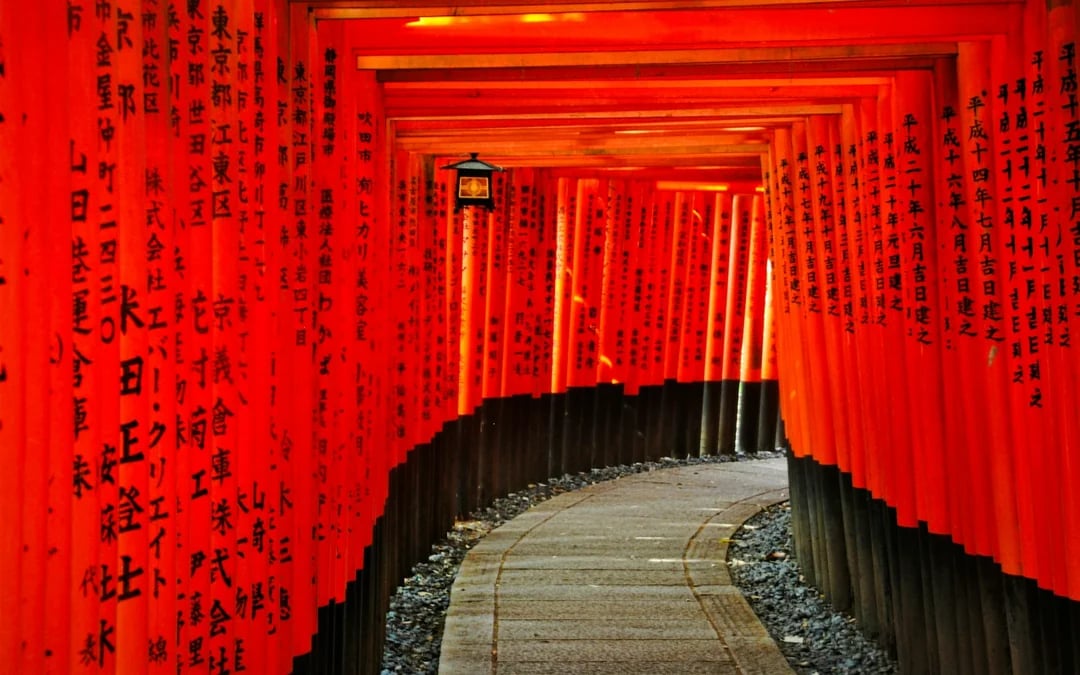 From Nagoya: Kyoto and Nara One-Way Guided Day Tour with Osaka Drop-Off Image 2
