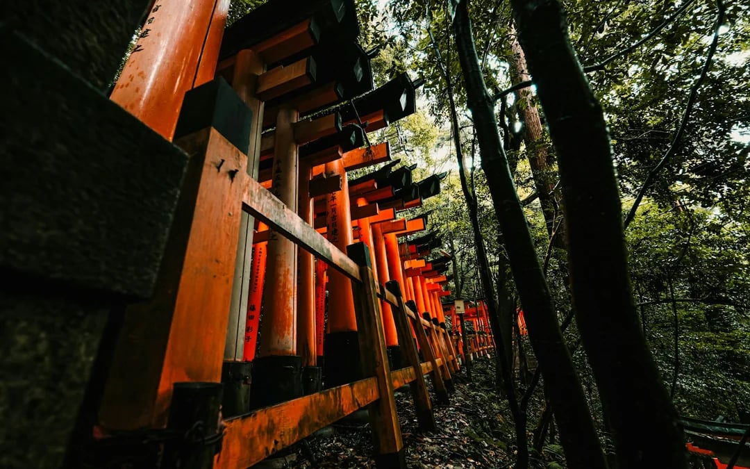 From Nagoya: Kyoto and Nara One-Way Guided Day Tour with Osaka Drop-Off Image 3