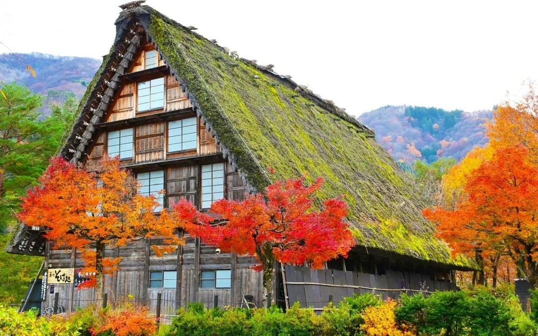 From Nagoya: Shirakawa-go & Hida Takayama Day Trip Image 1