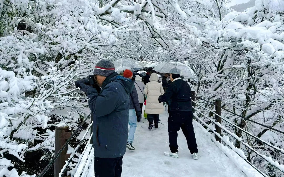 From Nagoya: Shirakawa-go & Hida Takayama Day Trip Image 11