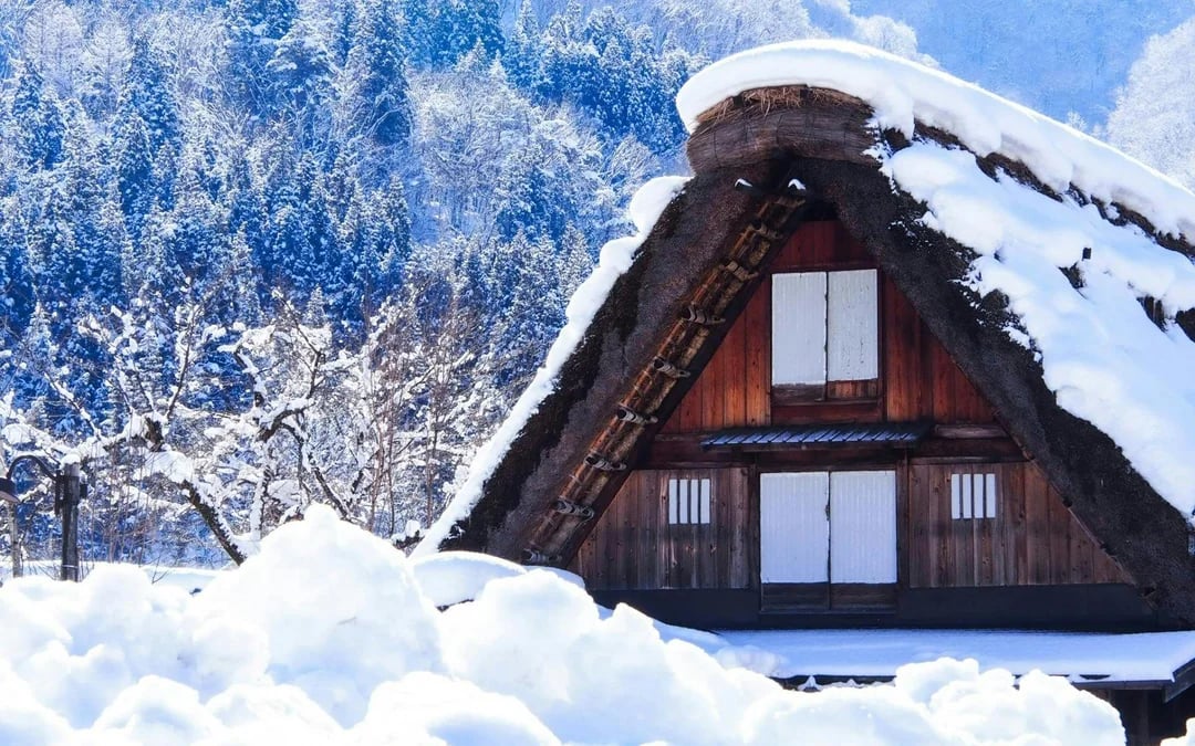 From Nagoya: Shirakawa-go & Hida Takayama Day Trip Image 12