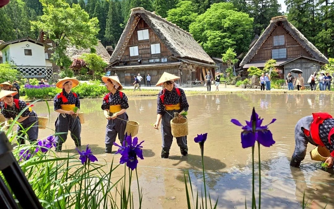 From Nagoya: Shirakawa-go & Hida Takayama Day Trip Image 4