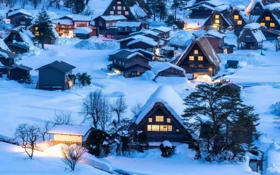 From Nagoya: Shirakawa-go & Hida Takayama Day Trip Image 10
