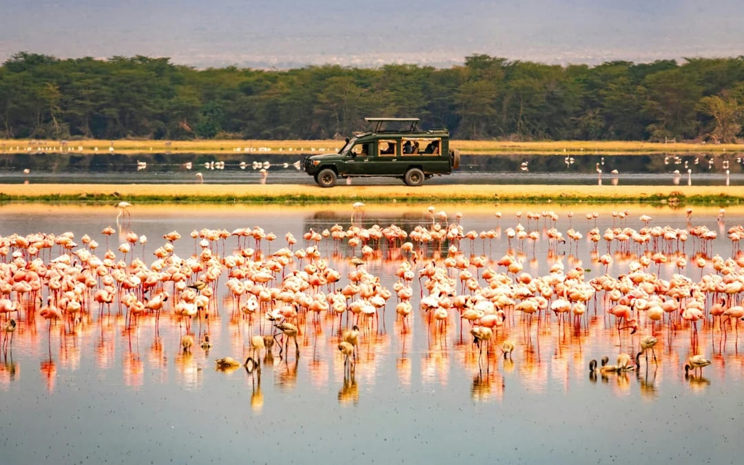 From Nairobi: 2-Day Amboseli Express Safari Image 1