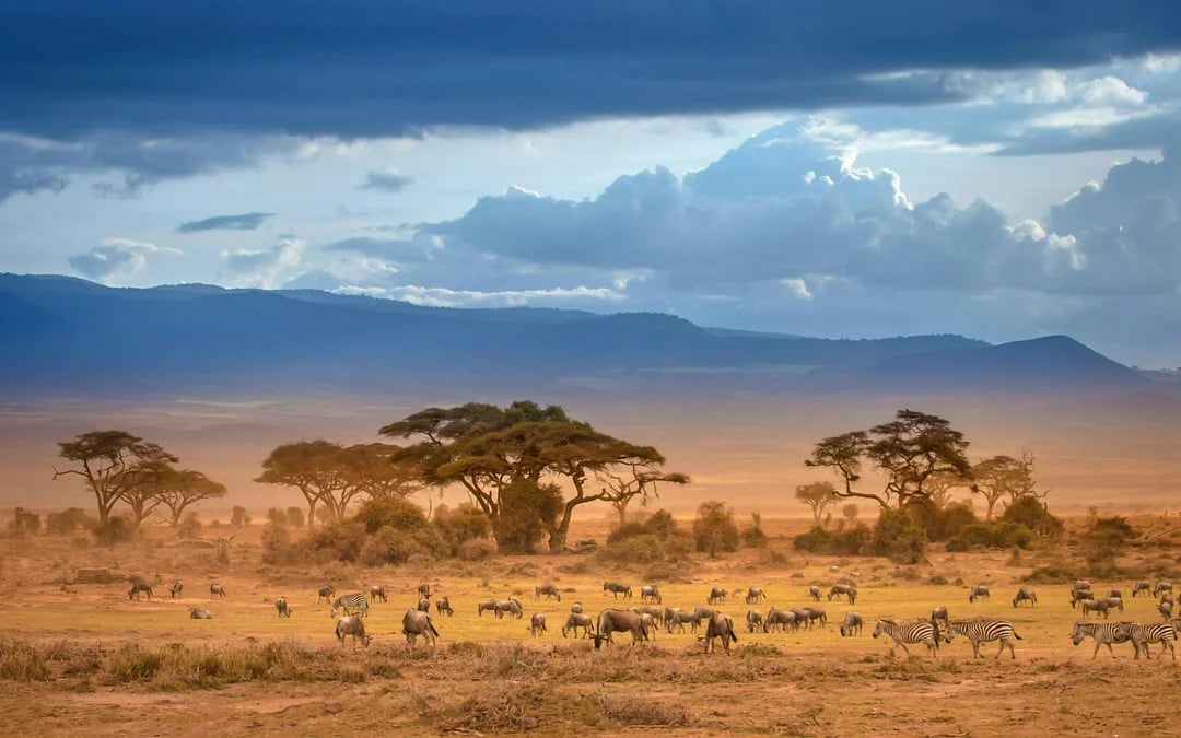 From Nairobi: 2-Day Amboseli Express Safari Image 9