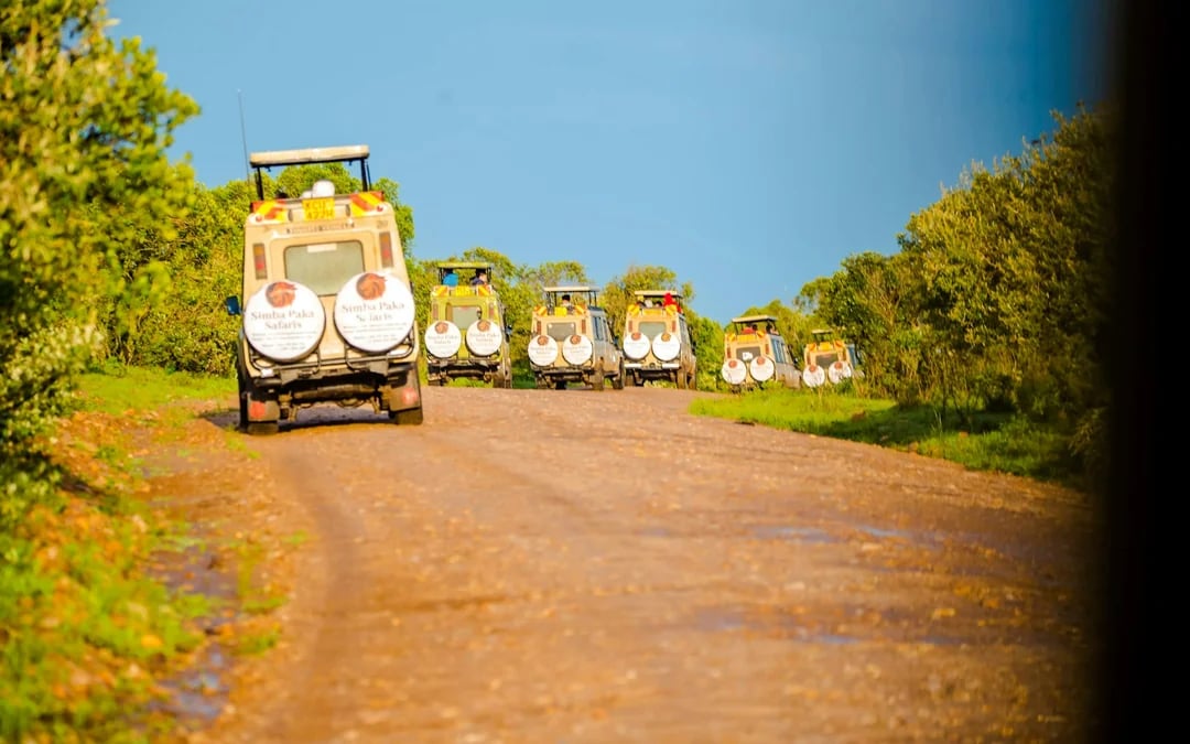 From Nairobi: 7-Day Masai Mara & Lake Nakuru Safari Image 3