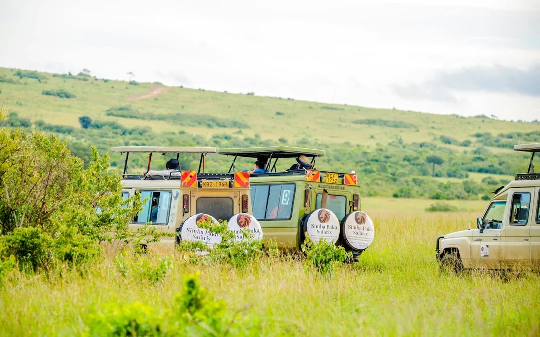 From Nairobi: 7-Day Masai Mara & Lake Nakuru Safari Image 8