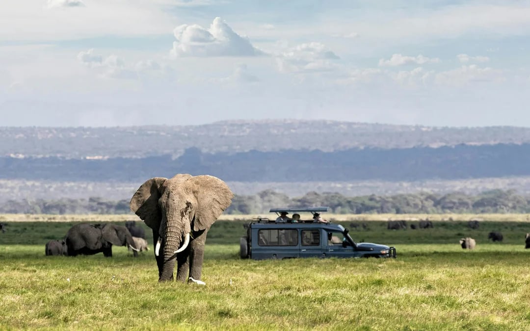 From Nairobi: Amboseli Day Safari with Kilimanjaro Views & Maasai Village Visit Image 4