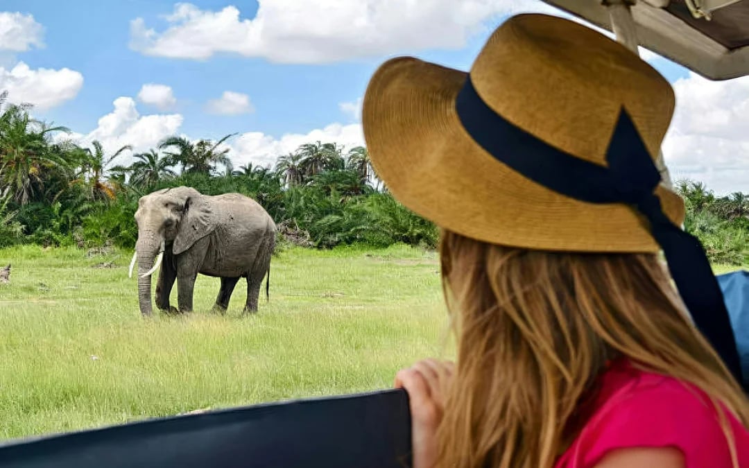 From Nairobi: Amboseli Day Safari with Kilimanjaro Views & Maasai Village Visit Image 7