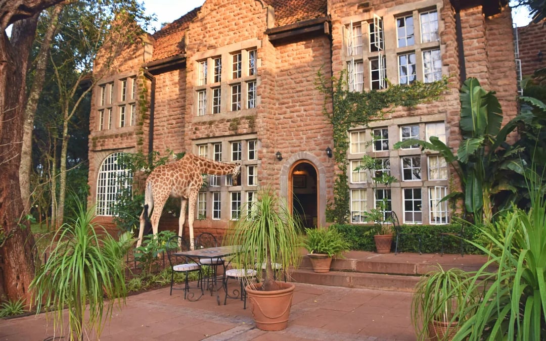 From Nairobi: Giraffe Centre & Karen Blixen Museum & Kazuri Beads Day Tour Image 5