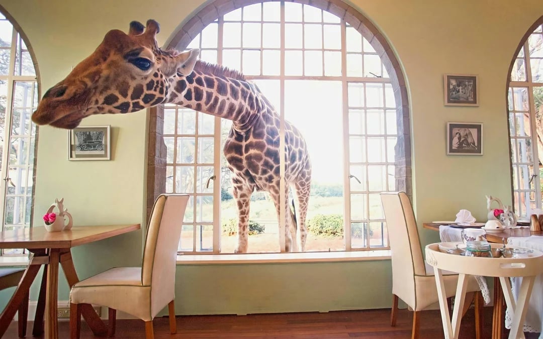 From Nairobi: Giraffe Centre & Karen Blixen Museum & Kazuri Beads Day Tour Image 6