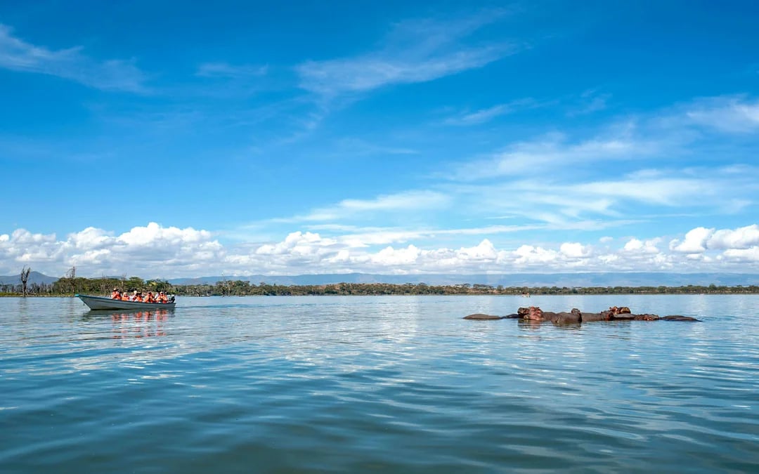 From Nairobi: Hell's Gate Biking & Hiking with Lake Naivasha Boat Ride Image 4
