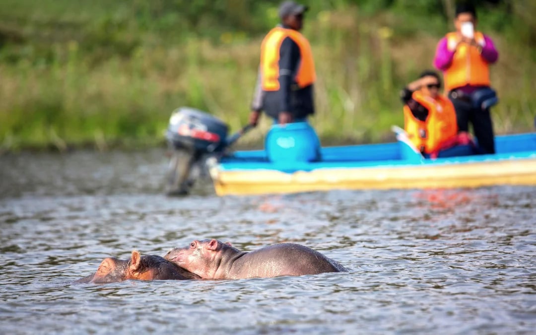 From Nairobi: Hell's Gate Biking & Hiking with Lake Naivasha Boat Ride Image 5