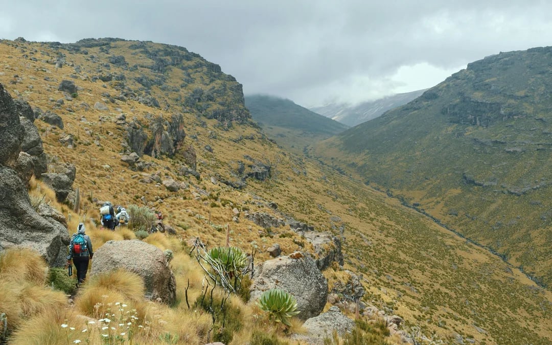 From Nairobi: Mount Kenya Day Hike to Old Moses Camp Image 2