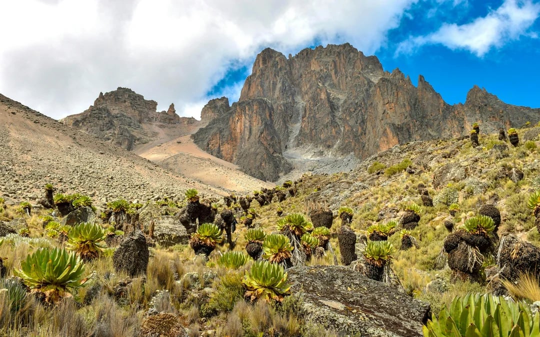 From Nairobi: Mount Kenya Day Hike to Old Moses Camp Image 3