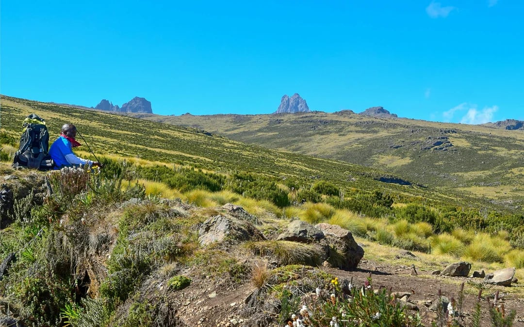 From Nairobi: Mount Kenya Day Hike to Old Moses Camp Image 6