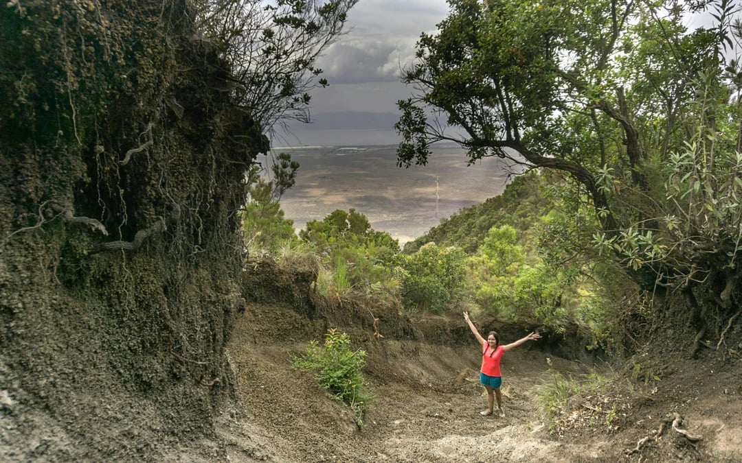 From Nairobi: Mount Longonot Day Tour with Crater Hike & Lake Naivasha Boat Ride Image 7