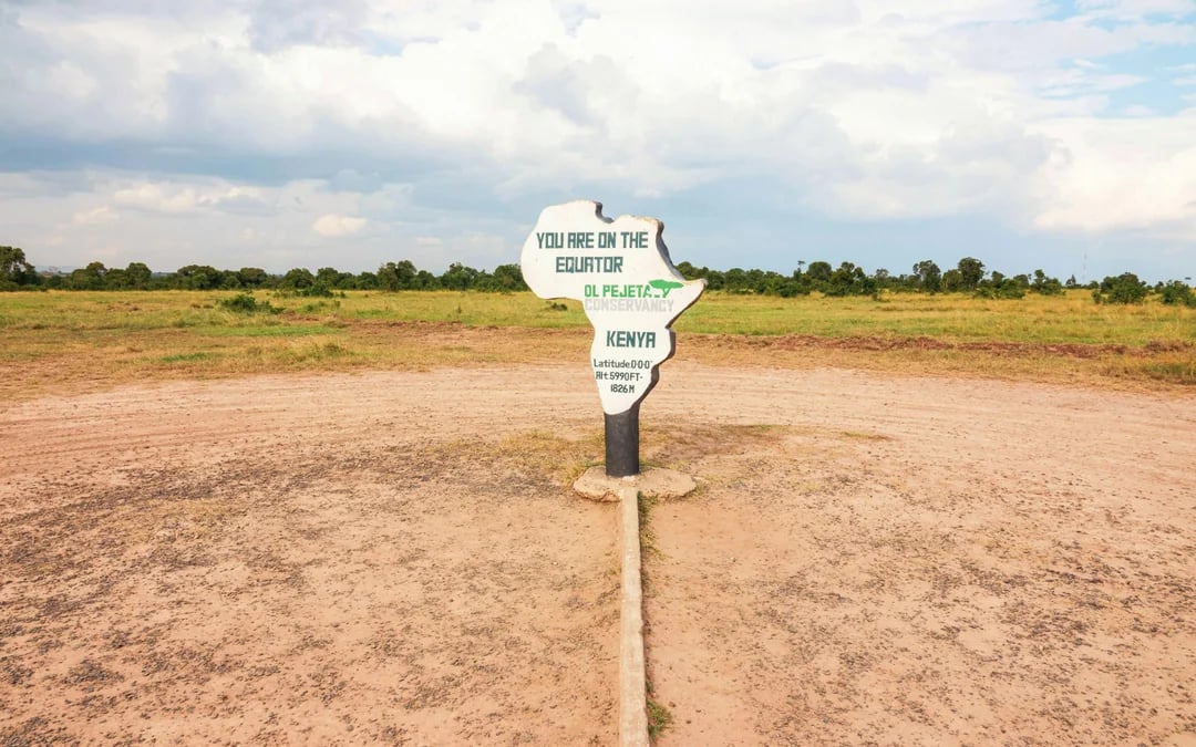 From Nairobi: Ol Pejeta Conservancy 4x4 Safari with Northern White Rhinos & Chimpanzees Image 4