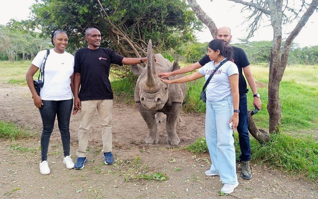 From Nairobi: Ol Pejeta Conservancy 4x4 Safari with Northern White Rhinos & Chimpanzees Image 5