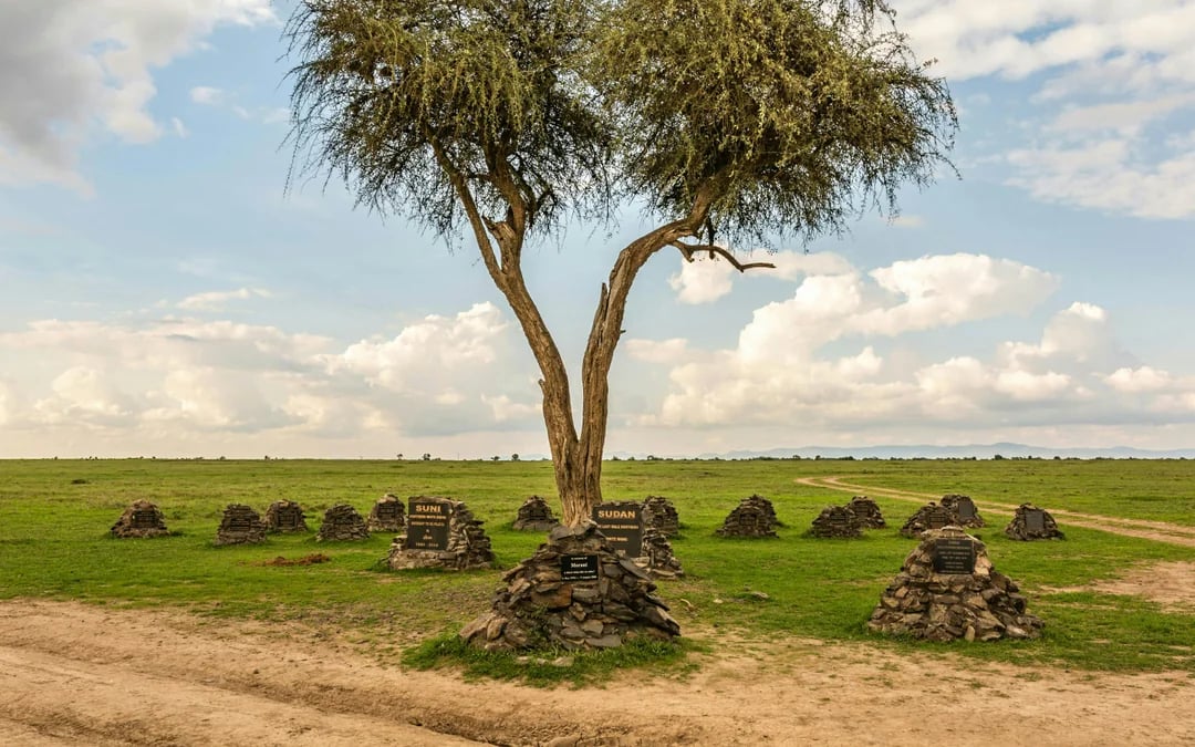 From Nairobi: Ol Pejeta Conservancy Safari Van Tour with Big Five & Chimpanzees Image 9
