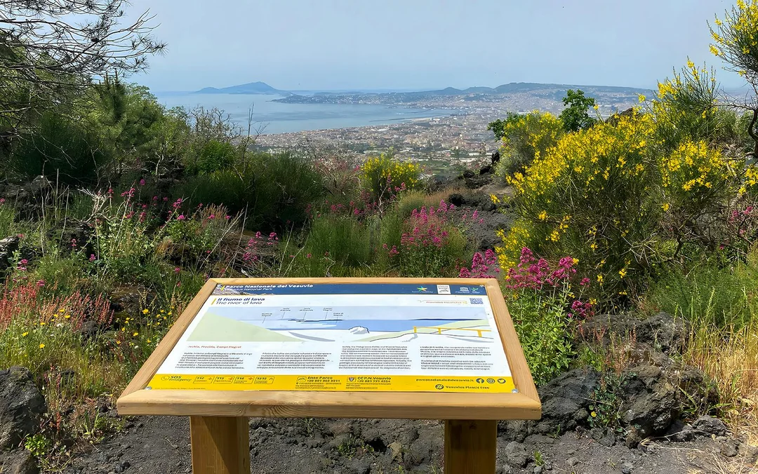 From Naples: Mount Vesuvius Entry Tickets with Round-Trip Transfers Image 2