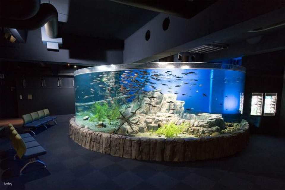 Hokkaido, Japan | Chitose Aquarium , Furusato of Salmon (Tickets)