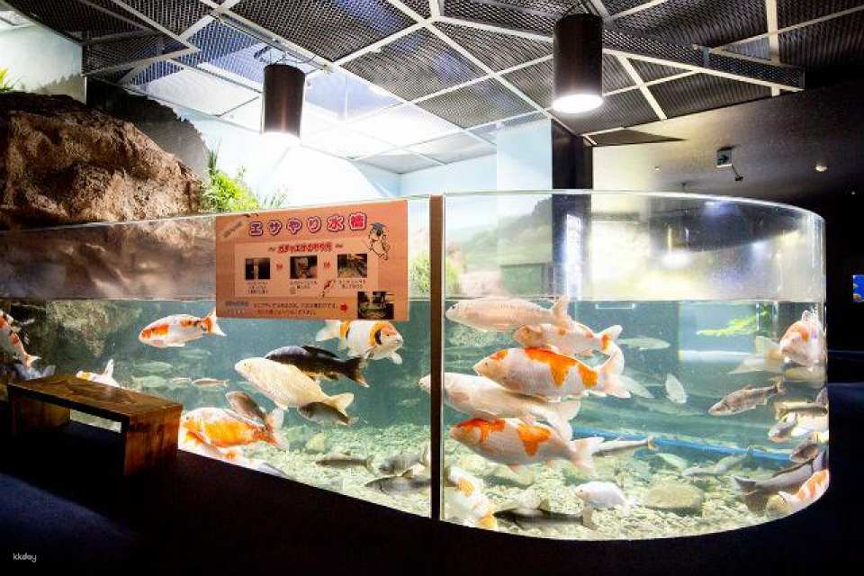 Hokkaido, Japan | Chitose Aquarium , Furusato of Salmon (Tickets)