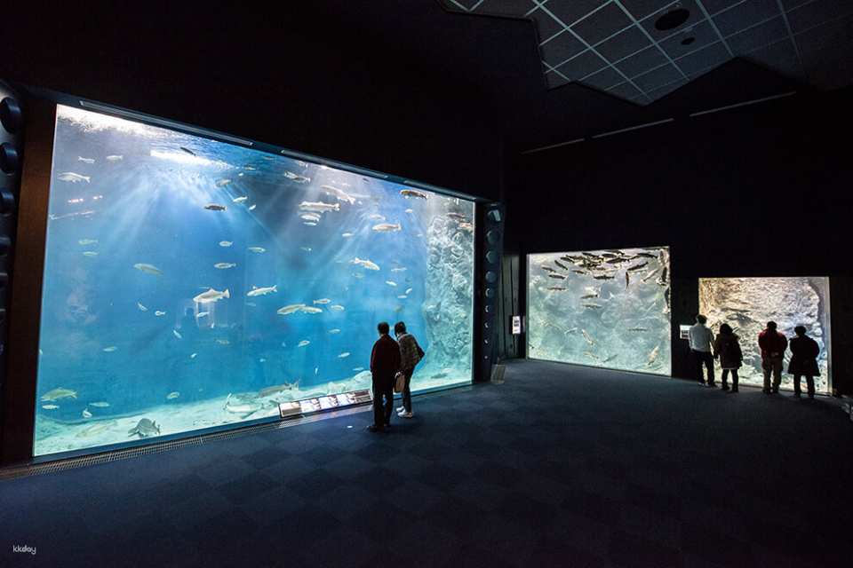 Hokkaido, Japan | Chitose Aquarium , Furusato of Salmon (Tickets)