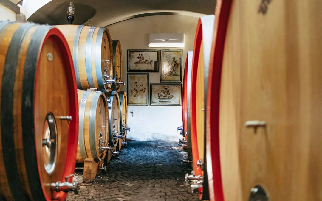 From Naples: Vesuvius Wine Tasting Experience With Mediterranean Lunch Image 4
