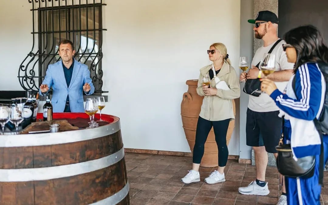 From Naples: Vesuvius Wine Tasting Experience With Mediterranean Lunch Image 6
