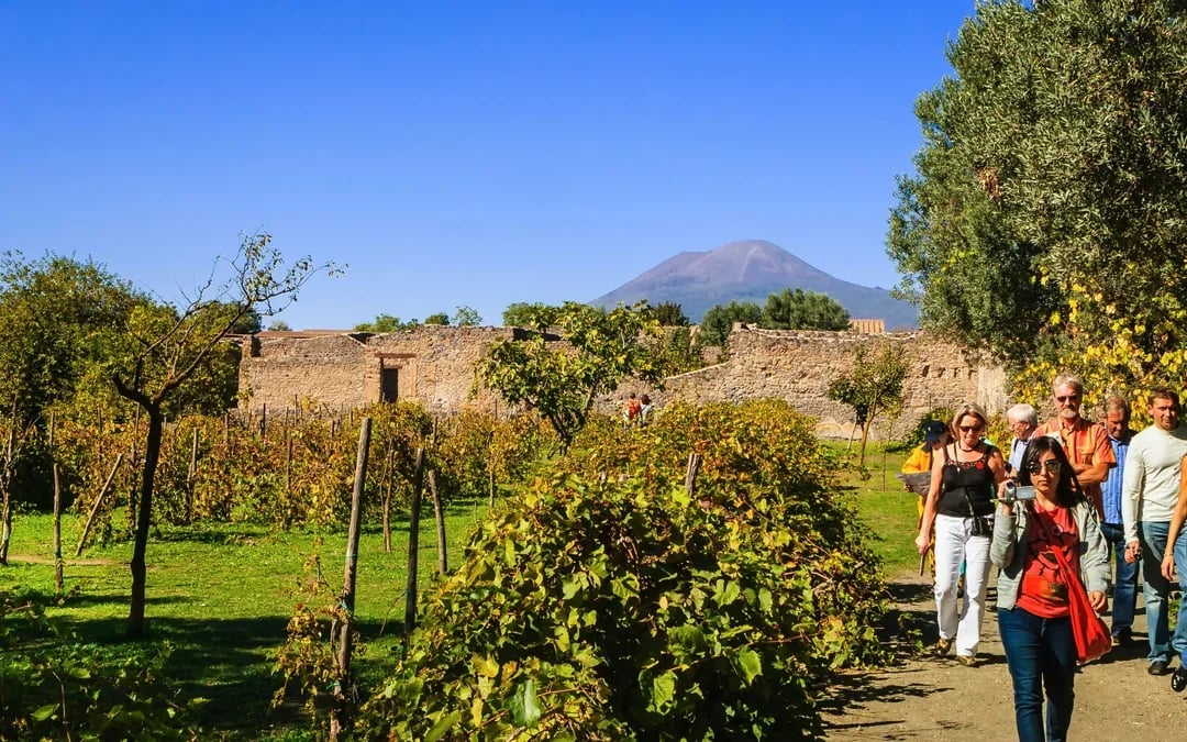 From Naples: Vesuvius Wine Tasting Experience With Mediterranean Lunch Image 7