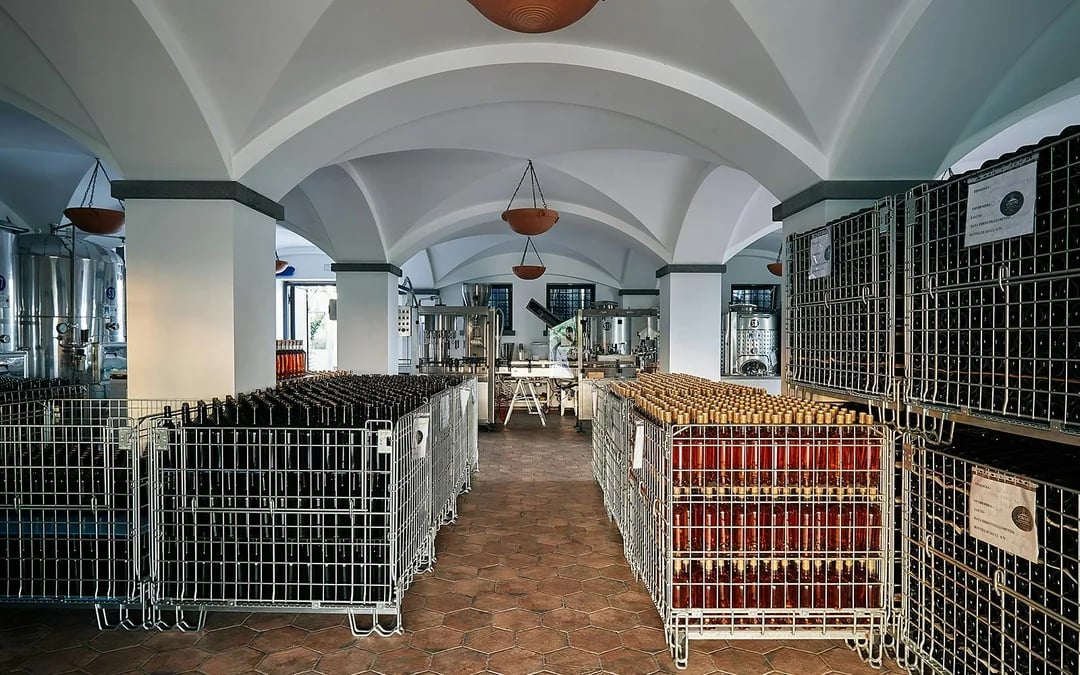 From Naples: Wine Tasting & Lunch on the Slopes of Vesuvius Image 6