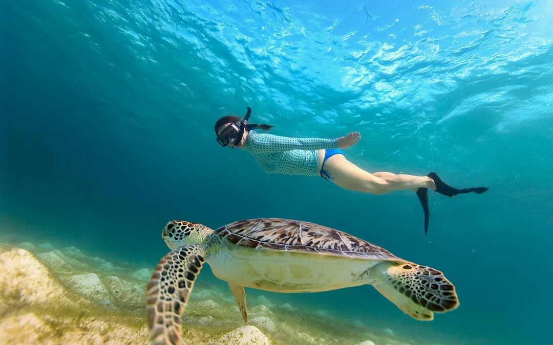From Nusa Lembongan: Snorkelling & Island Day Tours Image 3