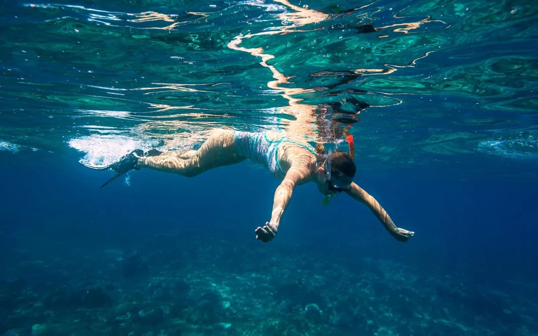 From Olbia: dinghy tour with snorkeling at Tavolara Image 6