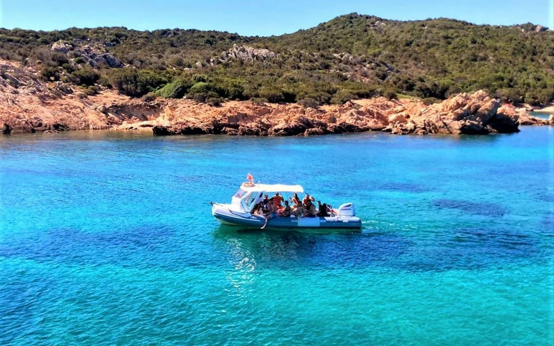 From Olbia: RIB Tour to Capo Figari with Dolphin Sighting Image 3