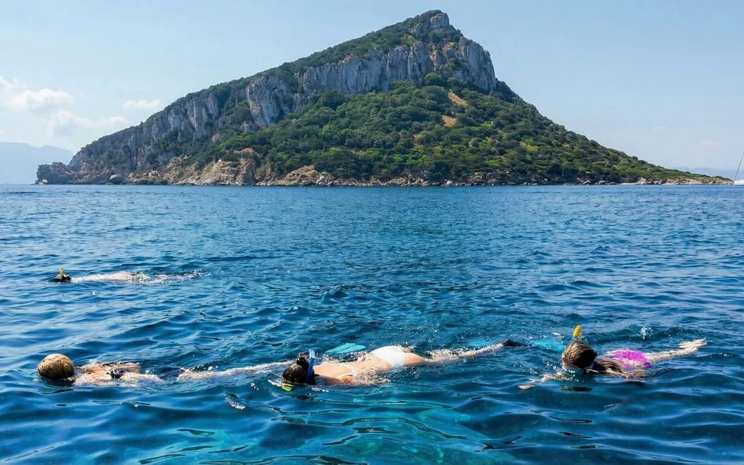 From Olbia: RIB Tour to Capo Figari with Dolphin Sighting Image 4