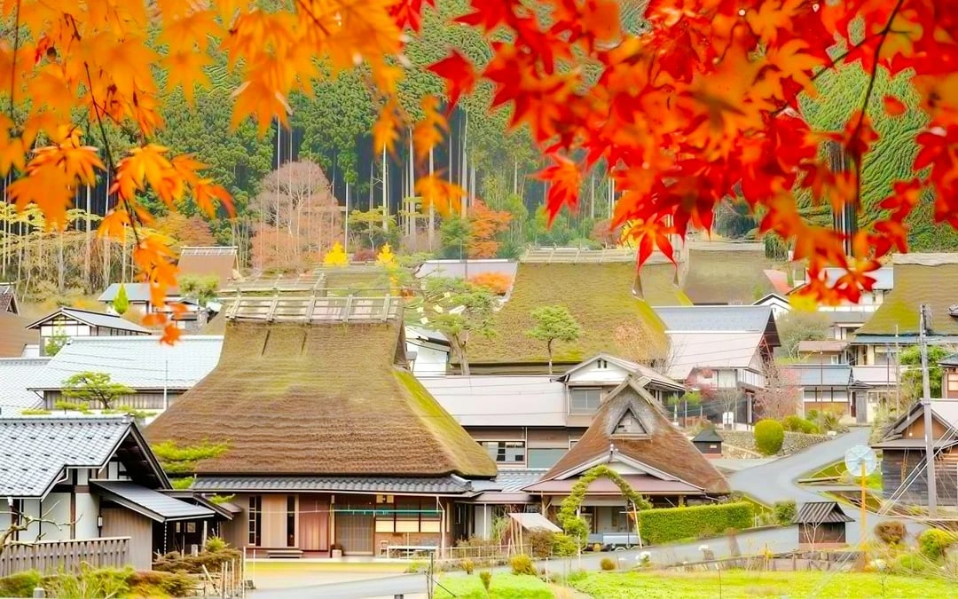 From Osaka: Katsuo-ji Temple, Miyama Thatched Village & Arashiyama Guided Day Trip Image 4