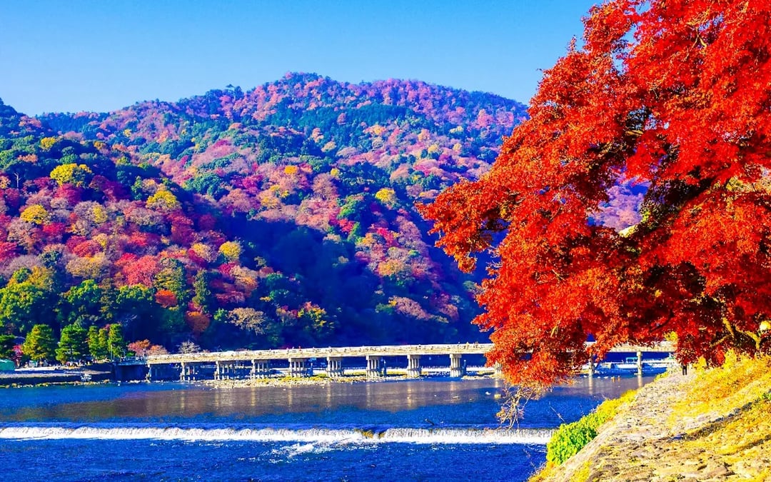From Osaka: Katsuo-ji Temple, Miyama Thatched Village & Arashiyama Guided Day Trip Image 5