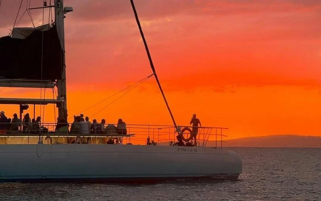 From Palma Bay: Sunset & Evening Cruise Image 8